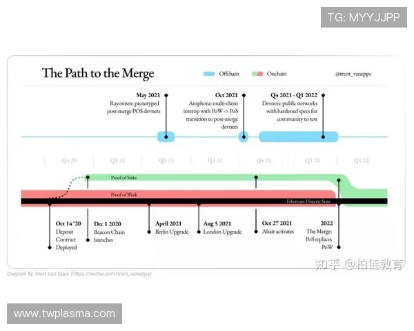 南京排球队与深圳排球队赛后复盘团队协作的成功与不足分析